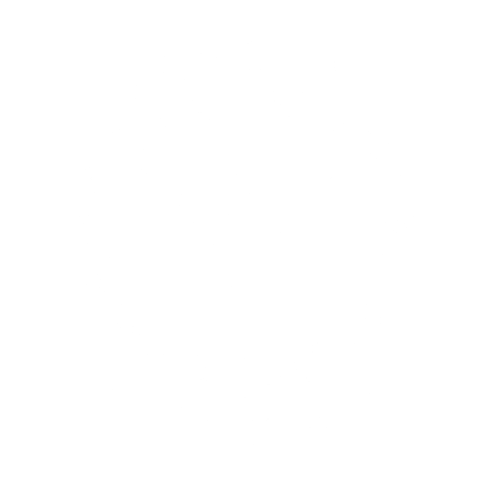 Fascial Flow Fitness
